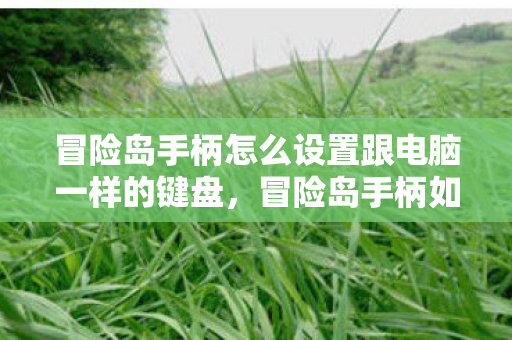 冒险岛手柄怎么设置跟电脑一样的键盘,冒险岛手柄如何模拟电脑键盘操作? 冒险岛手柄怎么设置跟电脑一样的键盘,冒险岛手柄如何模拟电脑键盘操作?