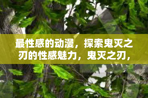 最性感的动漫，探索鬼灭之刃的性感魅力，鬼灭之刃，性感魅力探索