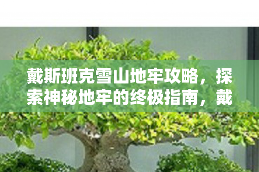 戴斯班克雪山地牢攻略，探索神秘地牢的终极指南，戴斯班克雪山地牢探险全攻略，揭秘神秘地牢的终极指南