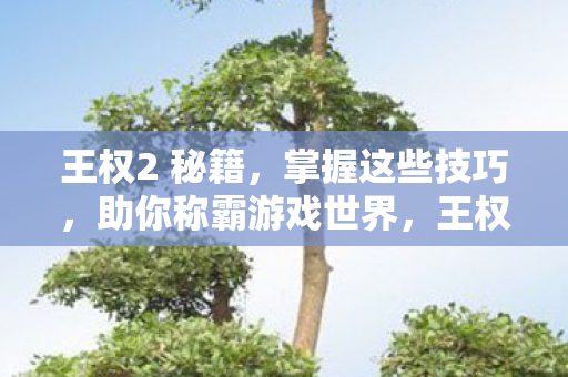 王权2 秘籍,掌握这些技巧,助你称霸游戏世界,王权2,称霸游戏世界的秘籍 王权2 秘籍,掌握这些技巧,助你称霸游戏世界,王权2,称霸游戏世界的秘籍