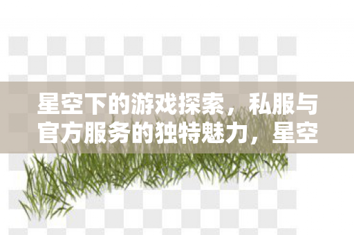 星空下的游戏探索,私服与官方服务的独特魅力,星空下的探索,私服与官方服务的独特魅力 星空下的游戏探索,私服与官方服务的独特魅力,星空下的探索,私服与官方服务的独特魅力