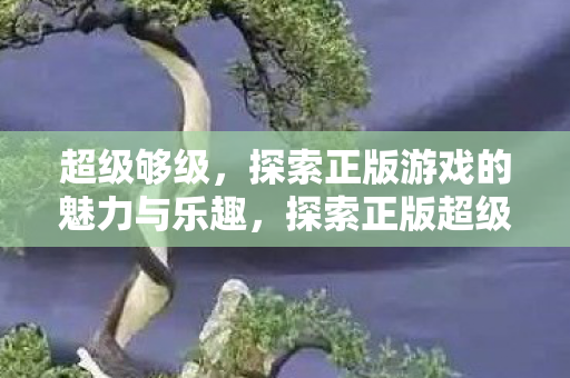 超级够级,探索正版游戏的魅力与乐趣,探索正版超级够级游戏的魅力与乐趣 超级够级,探索正版游戏的魅力与乐趣,探索正版超级够级游戏的魅力与乐趣