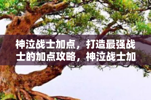 神泣战士加点,打造最强战士的加点攻略,神泣战士加点攻略,打造最强战士 神泣战士加点,打造最强战士的加点攻略,神泣战士加点攻略,打造最强战士