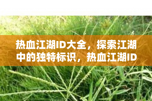 热血江湖ID大全,探索江湖中的独特标识,热血江湖ID大全,解锁江湖中的独特标识 热血江湖ID大全,探索江湖中的独特标识,热血江湖ID大全,解锁江湖中的独特标识