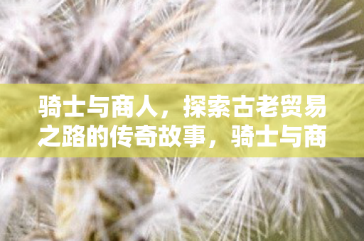 骑士与商人,探索古老贸易之路的传奇故事,骑士与商人,探索古老贸易之路的传奇之旅 骑士与商人,探索古老贸易之路的传奇故事,骑士与商人,探索古老贸易之路的传奇之旅