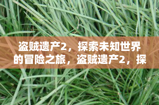 盗贼遗产2，探索未知世界的冒险之旅，盗贼遗产2，探索未知世界的冒险之旅