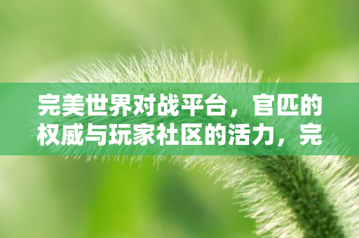 官匹的权威与玩家社区的活力图片