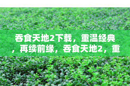 吞食天地2下载,重温经典,再续前缘,吞食天地2,重温经典,再续前缘下载 吞食天地2下载,重温经典,再续前缘,吞食天地2,重温经典,再续前缘下载