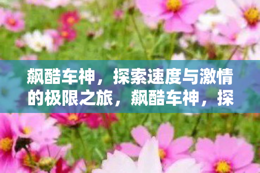 飙酷车神,探索速度与激情的极限之旅,飙酷车神,探索速度与激情的极限之旅 飙酷车神,探索速度与激情的极限之旅,飙酷车神,探索速度与激情的极限之旅