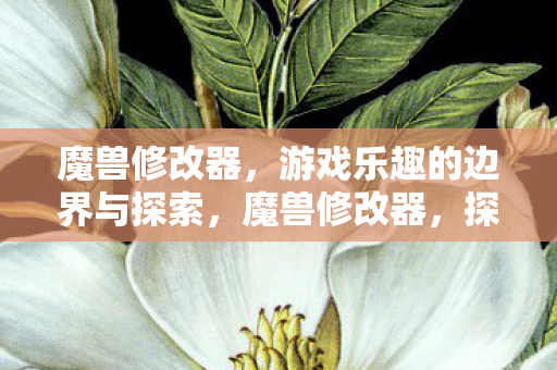 魔兽修改器,游戏乐趣的边界与探索,魔兽修改器,探索游戏乐趣的边界 魔兽修改器,游戏乐趣的边界与探索,魔兽修改器,探索游戏乐趣的边界