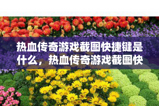 热血传奇游戏截图快捷键是什么图片