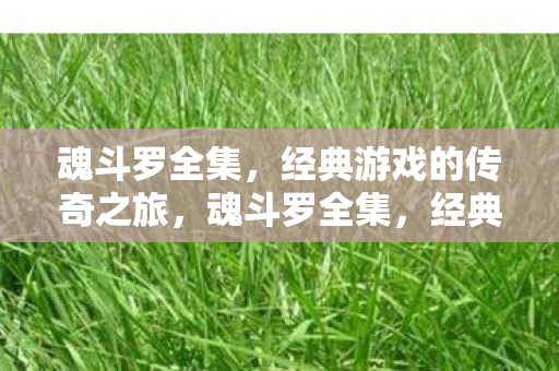 经典游戏的传奇之旅图片