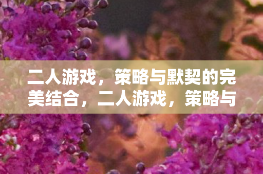 策略与默契的完美结合图片