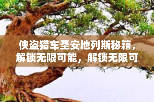 侠盗猎车圣安地列斯秘籍图片