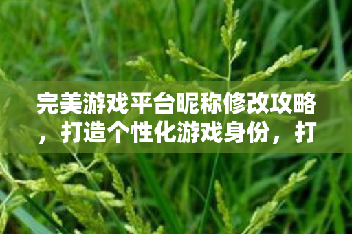 完美游戏平台昵称修改攻略图片