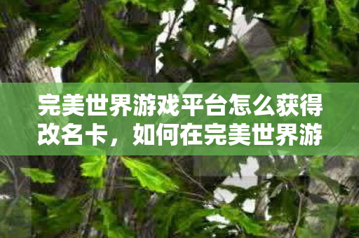 如何在完美世界游戏平台获取改名卡图片