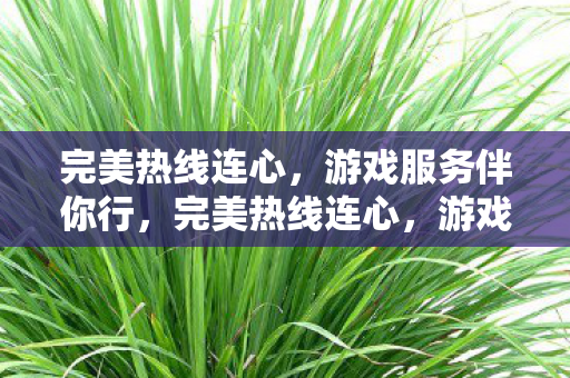 游戏服务伴你行图片