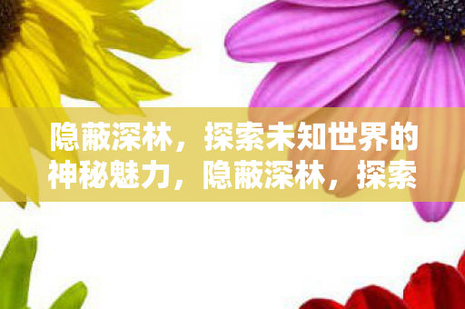 探索未知世界的神秘魅力图片