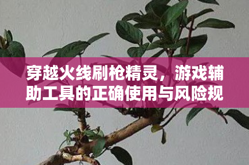 游戏辅助工具的正确使用与风险规避图片