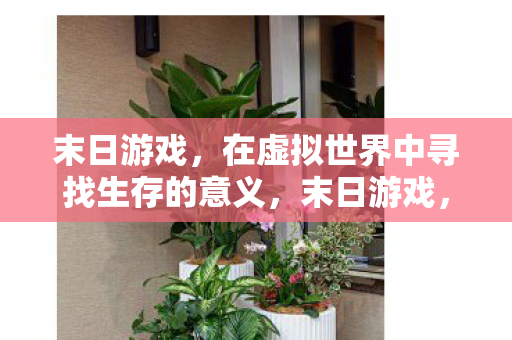 末日游戏,在虚拟世界中寻找生存的意义,末日游戏,在虚拟世界中寻找生存的意义 末日游戏,在虚拟世界中寻找生存的意义,末日游戏,在虚拟世界中寻找生存的意义