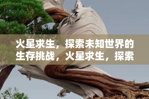 火星求生,探索未知世界的生存挑战,火星求生,探索未知世界的生存挑战 火星求生,探索未知世界的生存挑战,火星求生,探索未知世界的生存挑战