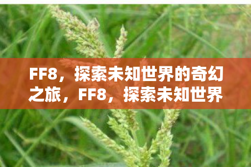 FF8,探索未知世界的奇幻之旅,FF8,探索未知世界的奇幻冒险之旅 FF8,探索未知世界的奇幻之旅,FF8,探索未知世界的奇幻冒险之旅