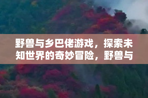 探索未知世界的奇妙冒险图片