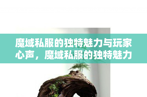 魔域私服的独特魅力与玩家心声图片