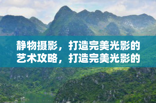 打造完美光影的静物摄影艺术指南图片