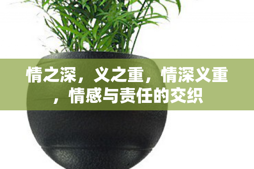 情感与责任的交织图片