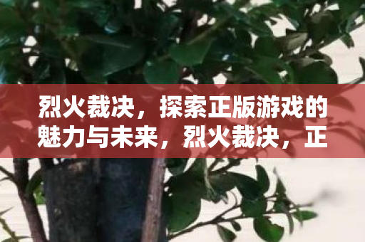 烈火裁决,探索正版游戏的魅力与未来,烈火裁决,正版游戏的魅力与未来探索 烈火裁决,探索正版游戏的魅力与未来,烈火裁决,正版游戏的魅力与未来探索