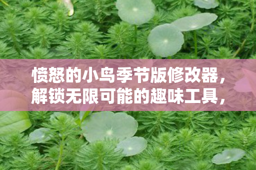 愤怒的小鸟季节版修改器,解锁无限可能的趣味工具,解锁无限趣味,愤怒的小鸟季节版修改器 愤怒的小鸟季节版修改器,解锁无限可能的趣味工具,解锁无限趣味,愤怒的小鸟季节版修改器
