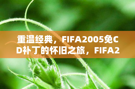 FIFA2005免CD补丁的怀旧之旅图片