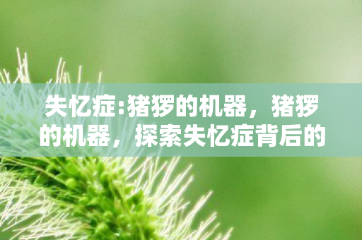 探索失忆症背后的神秘机制图片