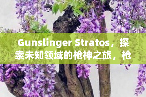 Gunslinger Stratos图片