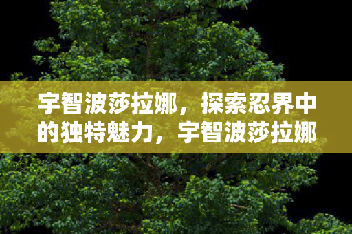 探索忍界中的独特魅力图片