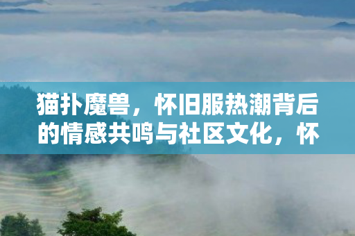 怀旧服热潮背后的情感共鸣与社区文化图片
