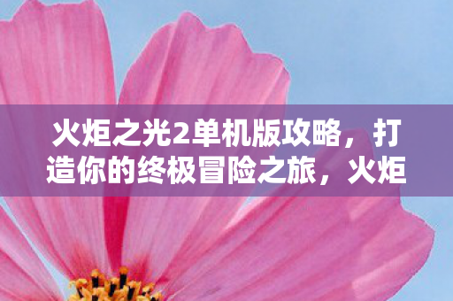 火炬之光2单机版攻略图片
