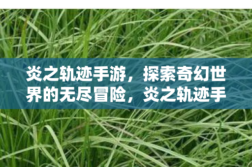 探索奇幻世界的无尽冒险之旅图片