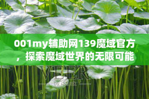 001my辅助网139魔域官方图片
