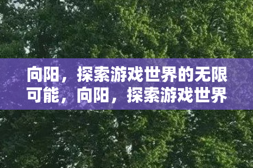 向阳,探索游戏世界的无限可能,向阳,探索游戏世界的无限可能 向阳,探索游戏世界的无限可能,向阳,探索游戏世界的无限可能