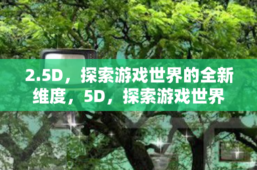 2.5D,探索游戏世界的全新维度,5D,探索游戏世界的全新维度 2.5D,探索游戏世界的全新维度,5D,探索游戏世界的全新维度