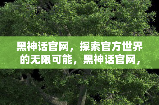 探索官方世界的无限可能图片