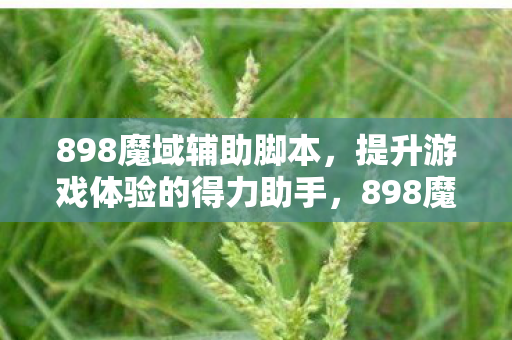 提升游戏体验的得力助手图片