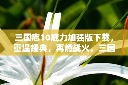三国志10威力加强版下载图片