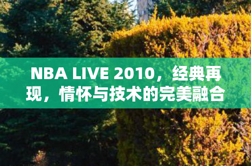 NBA LIVE 2010,经典再现,情怀与技术的完美融合,NBA LIVE 2010,经典再现,情怀与技术的完美融合 NBA LIVE 2010,经典再现,情怀与技术的完美融合,NBA LIVE 2010,经典再现,情怀与技术的完美融合