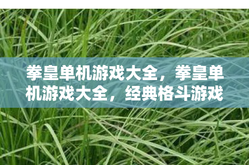 拳皇单机游戏大全,拳皇单机游戏大全,经典格斗游戏回顾 拳皇单机游戏大全,拳皇单机游戏大全,经典格斗游戏回顾