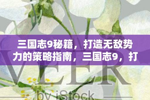 三国志9秘籍,打造无敌势力的策略指南,三国志9,打造无敌势力秘籍与策略指南 三国志9秘籍,打造无敌势力的策略指南,三国志9,打造无敌势力秘籍与策略指南
