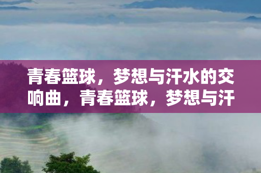 梦想与汗水的交响曲图片