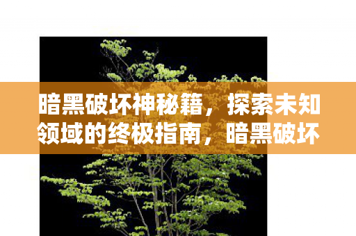 暗黑破坏神秘籍,探索未知领域的终极指南,暗黑破坏神,探索未知领域的终极秘籍 暗黑破坏神秘籍,探索未知领域的终极指南,暗黑破坏神,探索未知领域的终极秘籍